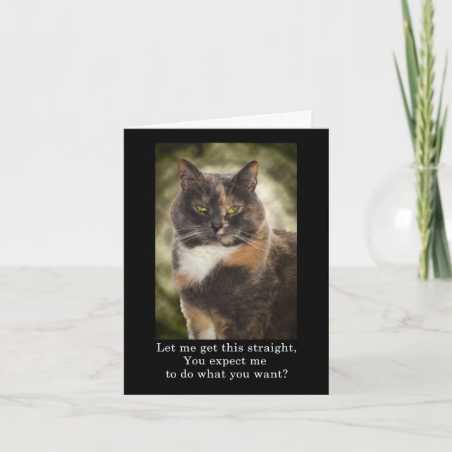 Tarjeta Smug Kitty - ¿Quieres Lo Que Quieres? (Anverso)