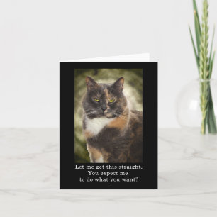 Tarjeta Smug Kitty - ¿Quieres Lo Que Quieres?