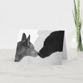 Tarjeta Sniffing Greeting