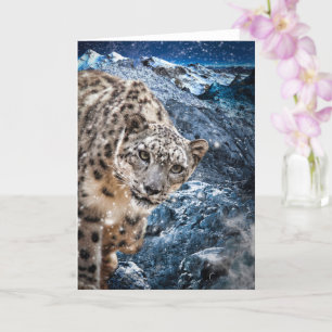 TARJETA SNOW LEOPARD CLOUD WALKER