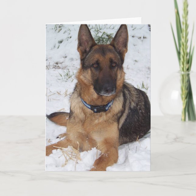 Tarjeta Snow Shepherd (Anverso)