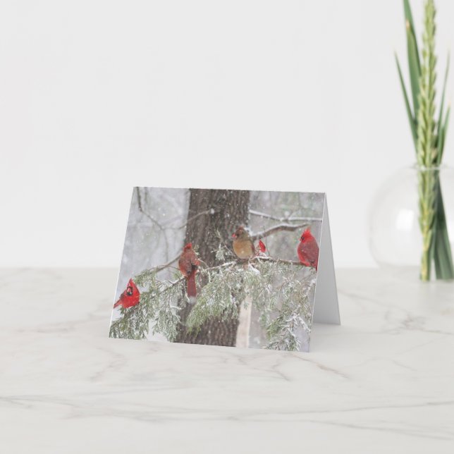 Tarjeta SnowBirds (Anverso)