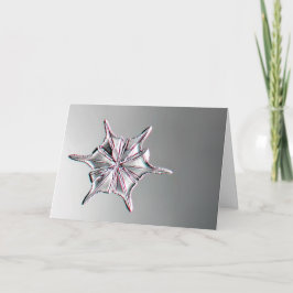 Tarjeta Snowcatcher Snowflake Greeting Card