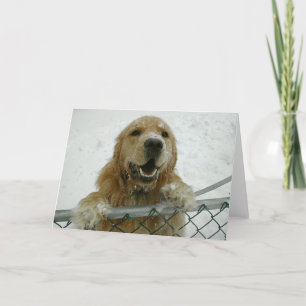 Tarjeta Snowdog