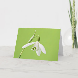 Tarjeta Snowdrop
