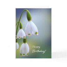 Snowdrop Happy Birday Card