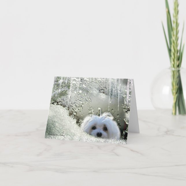 Tarjeta Snowdrop the Maltese Note Card (Anverso)