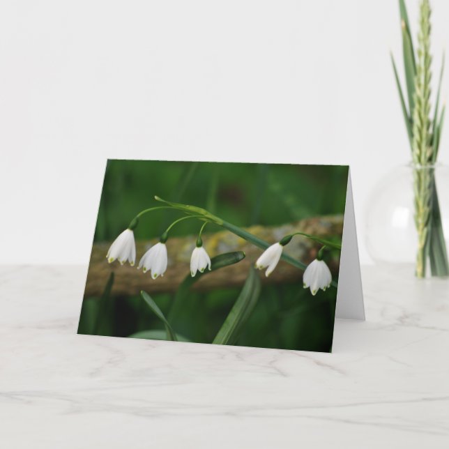 Tarjeta Snowdrops (Anverso)