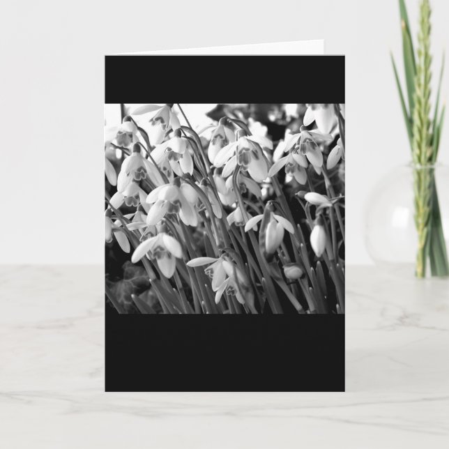 Tarjeta Snowdrops (Anverso)