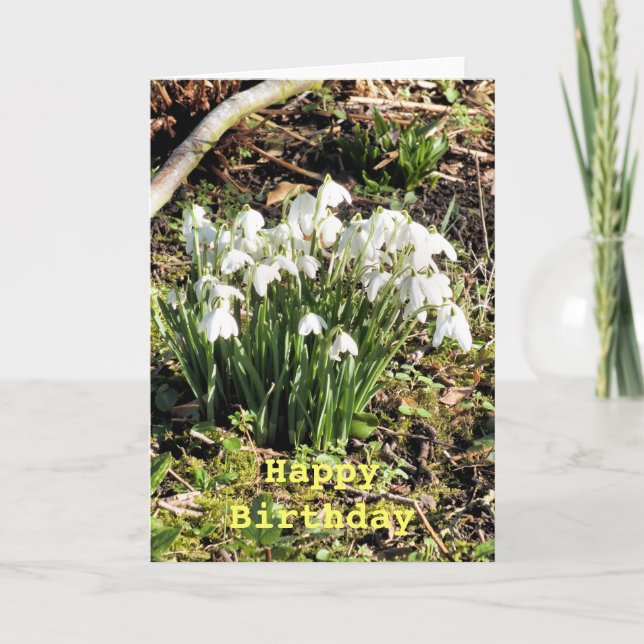 TARJETA SNOWDROPS (Anverso)