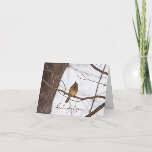 Tarjeta Snowing Reitera Que La Señora Cardenal Piensa En U (Anverso)