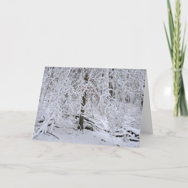 Tarjeta Snowy Birch Tree Canopy (Anverso)
