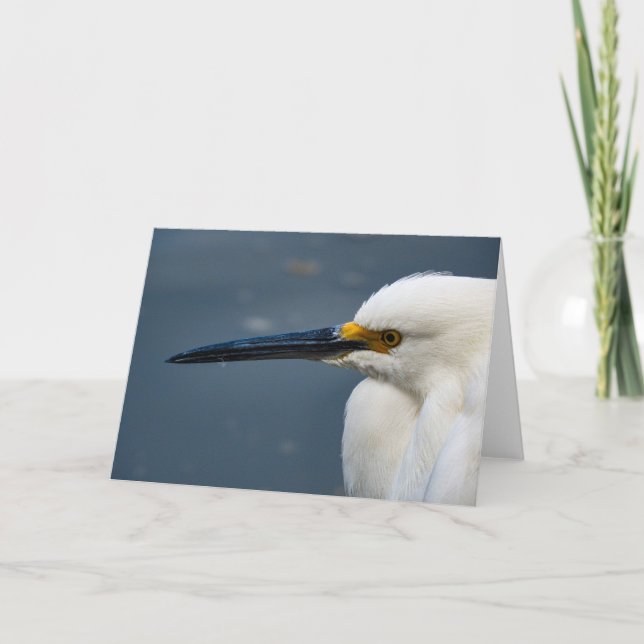 Tarjeta Snowy Egret Notecard (Anverso)