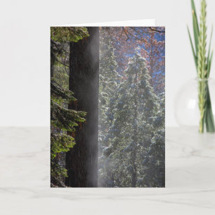 Tarjeta Snowy Mist in the Forest