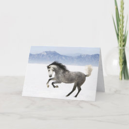 Tarjeta Snowy Romp Horse Greaming Card
