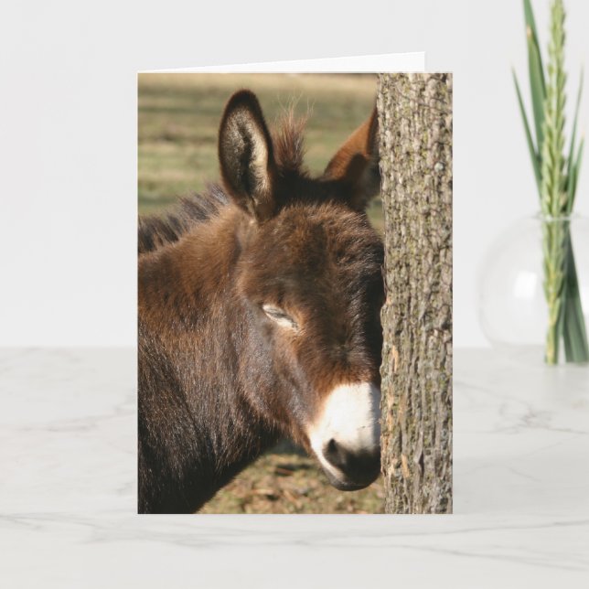 Tarjeta snuggle (Anverso)