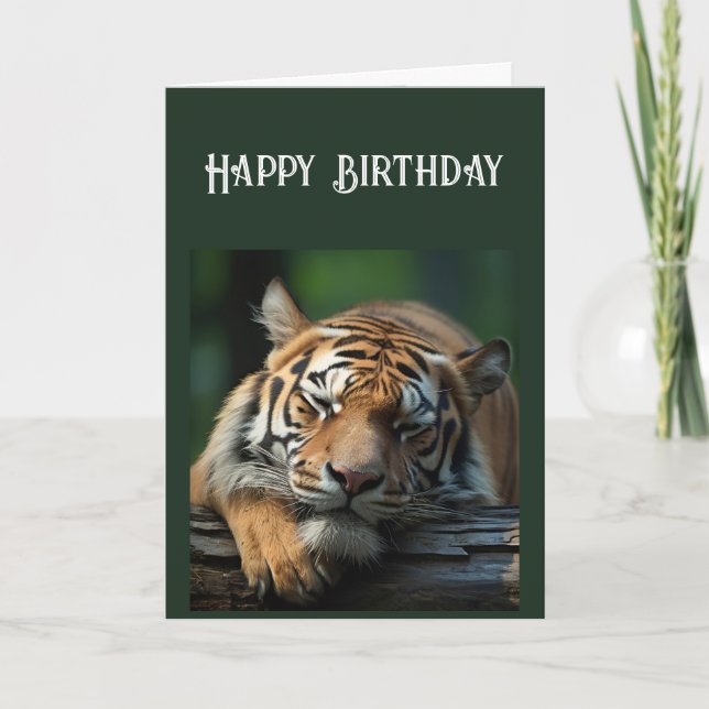 Tarjeta Sobre la colina, siesta de gato grande (Anverso)