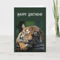 Sobre la colina, siesta de gato grande