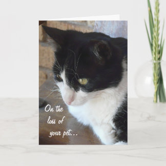 Tarjeta Sobre la pérdida de su mascota Gato con poema.