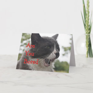 Tarjeta Socks Kitty Yawning-personalizar