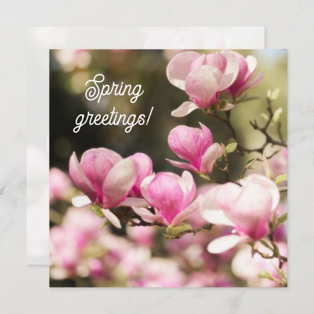 Tarjeta Soft Dreamy Magnolia spring greeting (Anverso / Reverso)