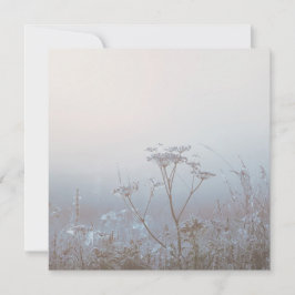 Tarjeta Soft Frosty Morning Nature