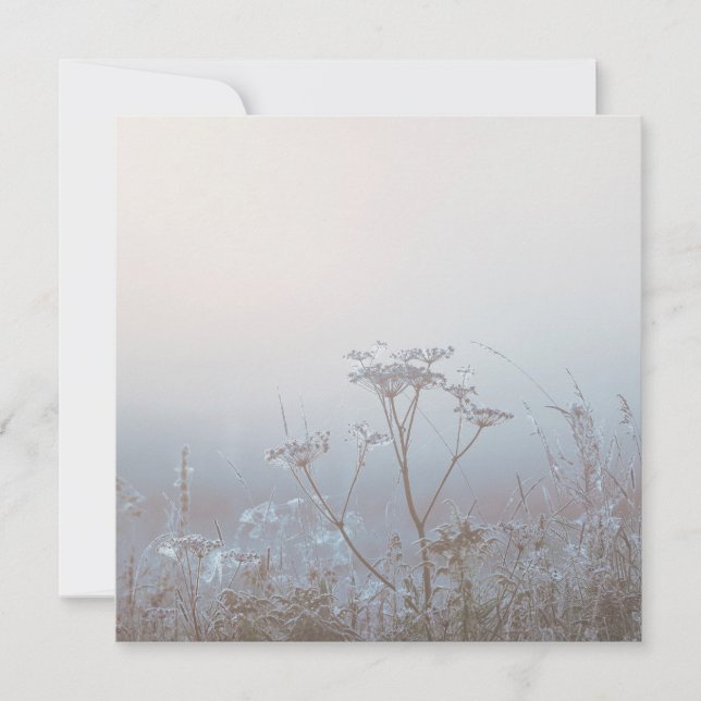 Tarjeta Soft Frosty Morning Nature (Anverso)