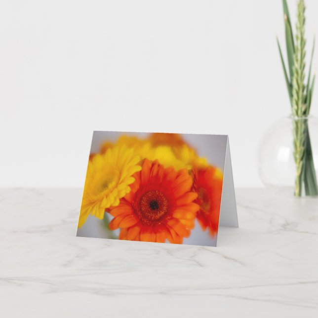 Tarjeta Soft Gerber Bunch (Anverso)