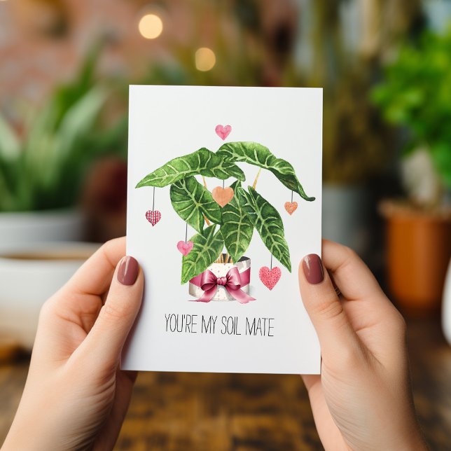 Tarjeta Soil Mate Houseplant El día de San Valentín Love P (Subido por el creador)