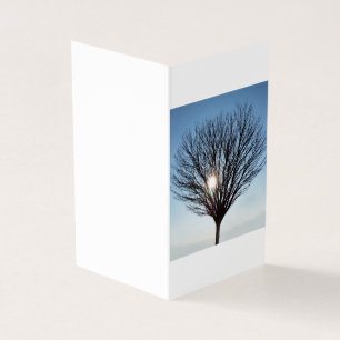 Tarjeta sol de invierno