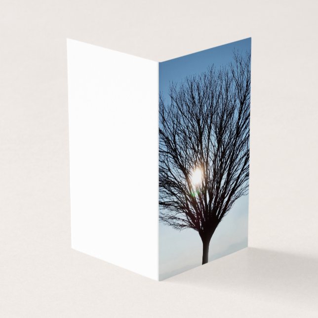 Tarjeta sol de invierno (Exterior)