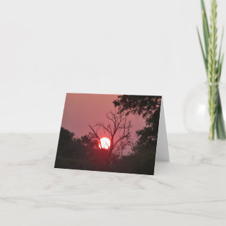 TARJETA SOL EN BOTSWANA