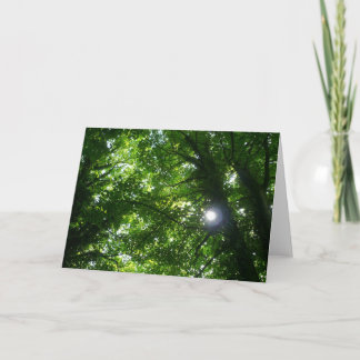 Tarjeta Sol en los árboles