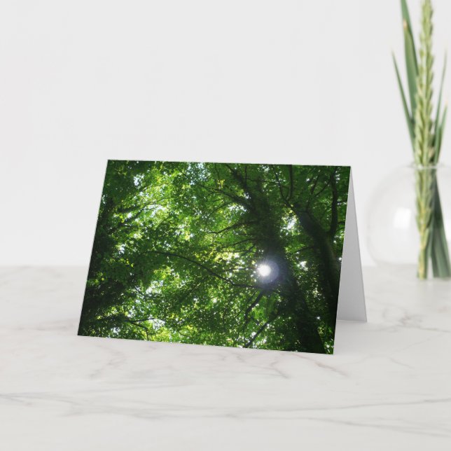 Tarjeta Sol en los árboles (Anverso)