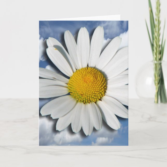 Tarjeta Solamente un flor de la margarita + su texto y (Anverso)