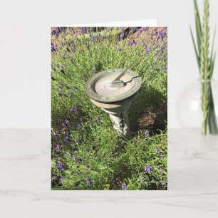 Tarjeta Solar en Lavanda