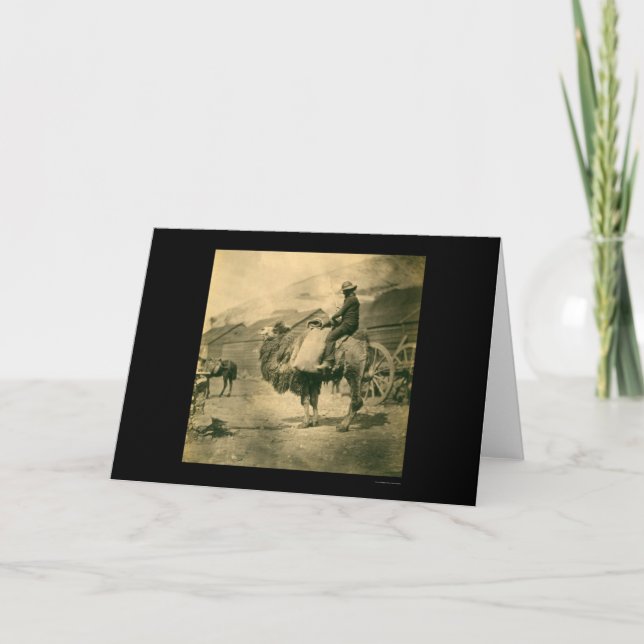 Tarjeta Soldado de guerra de Crimea en un camello en 1855 (Anverso)