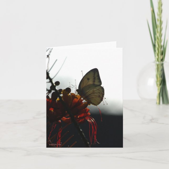 Tarjeta SOLEDAD 5a (Anverso)