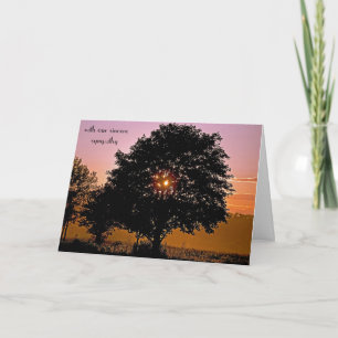 Tarjeta Solidaridad con el árbol y el atardecer
