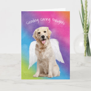 Tarjeta Solidaridad con el arcoiris Una pérdida de Mascota