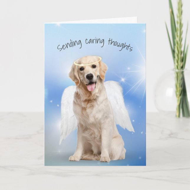 Tarjeta Solidaridad con la pérdida del Mascota de Golden R (Anverso)