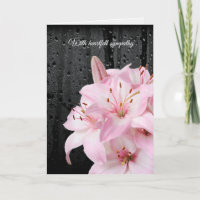 Solidaridad con los lirios rosas y las gotas de ll