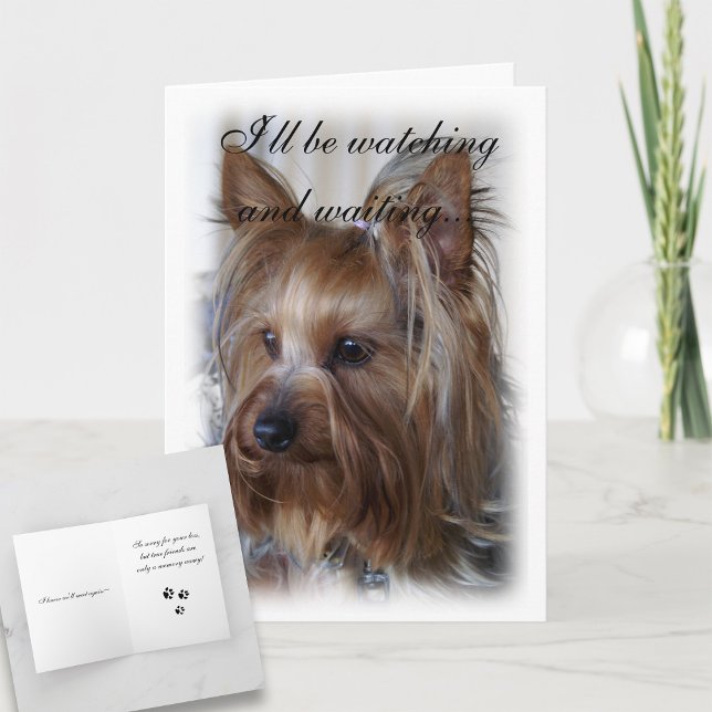 Tarjeta Solidaridad en memoria de los mascotas (Subido por el creador)