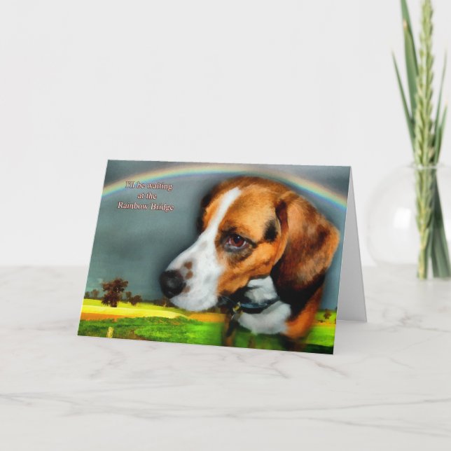 Tarjeta Solidaridad - Pérdida de perro Mascota (Anverso)
