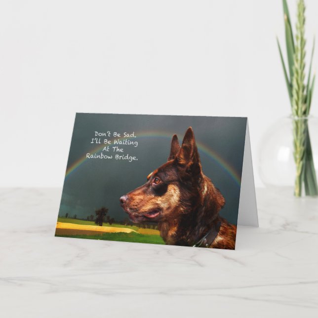 Tarjeta Solidaridad - Pérdida de perro Mascota (Anverso)