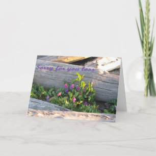 Tarjeta Solidaridad: Perdón por tu pérdida