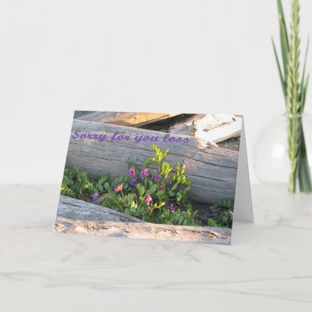 Tarjeta Solidaridad: Perdón por tu pérdida (Anverso)