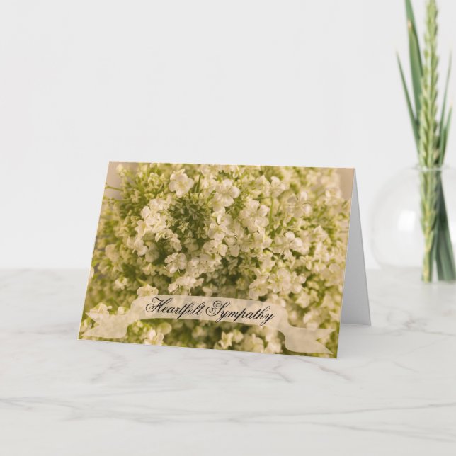 Tarjeta Solidaridad respiratoria del bebé (Anverso)