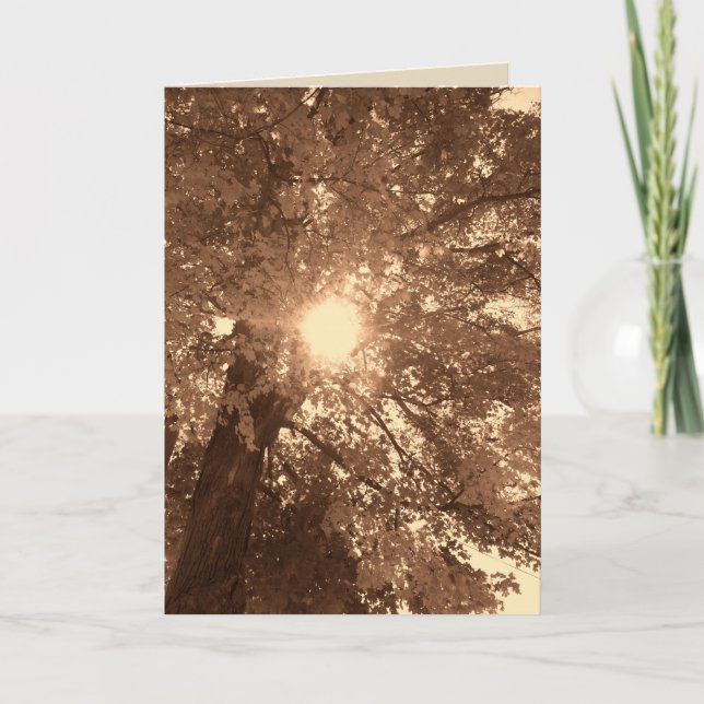 Tarjeta Solidaridad y esperanza (Anverso)