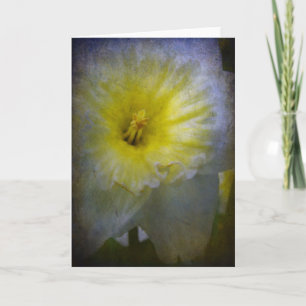 Tarjeta Sólo desconcertante